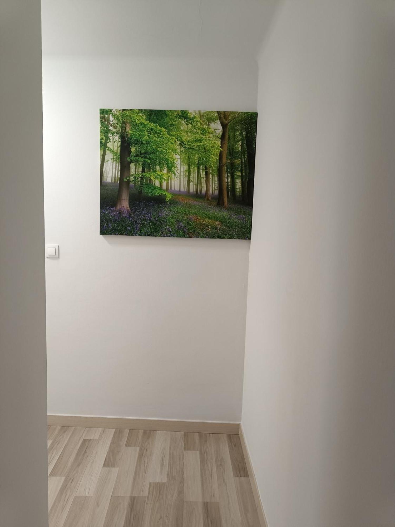 Apartamento Confort I La Seu d'Urgell Eksteriør billede